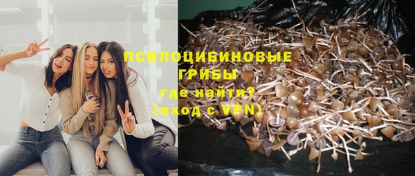амф Алексеевка