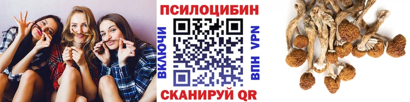 маркетплейс телеграм  кракен tor  Бабушкин  Псилоцибиновые грибы MAGIC MUSHROOMS 
